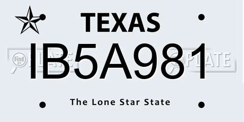 IB5A981 Texas License Plate