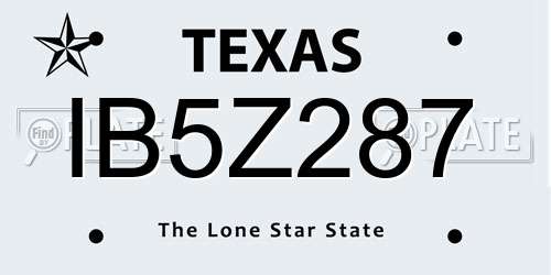 IB5Z287 Texas License Plate