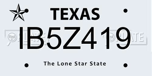 IB5Z419 Texas License Plate
