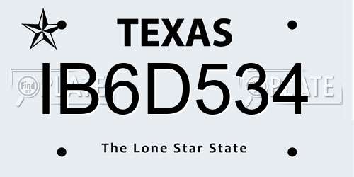 IB6D534 Texas License Plate
