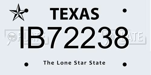 IB72238 Texas License Plate