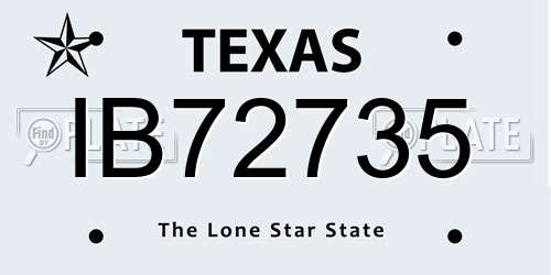 IB72735 Texas License Plate