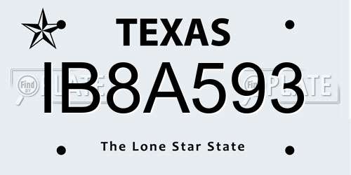 IB8A593 Texas License Plate