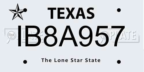 IB8A957 Texas License Plate