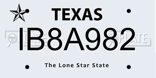 IB8A982 Texas License Plate