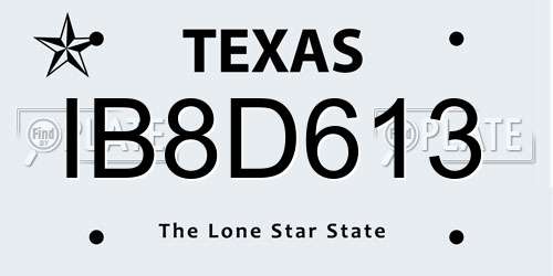 IB8D613 Texas License Plate