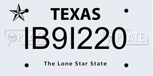 IB9I220 Texas License Plate