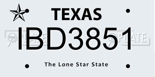 IBD3851 Texas License Plate