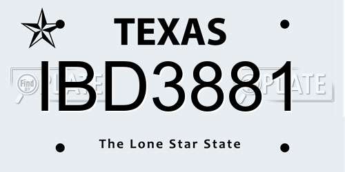 IBD3881 Texas License Plate