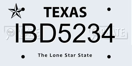 IBD5234 Texas License Plate
