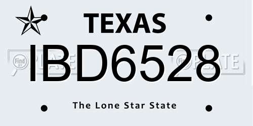 IBD6528 Texas License Plate