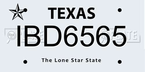 IBD6565 Texas License Plate