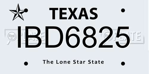 IBD6825 Texas License Plate