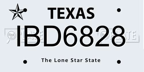 IBD6828 Texas License Plate