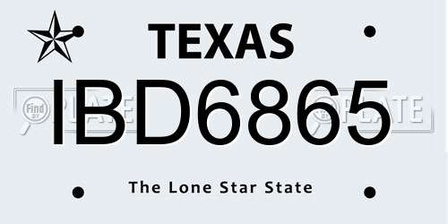 IBD6865 Texas License Plate