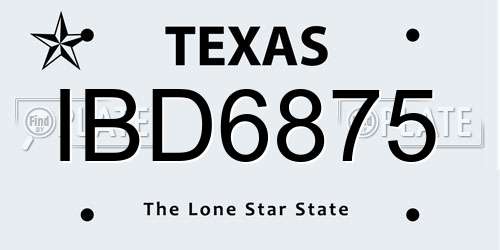 IBD6875 Texas License Plate
