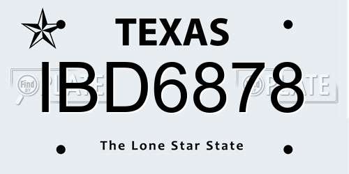 IBD6878 Texas License Plate