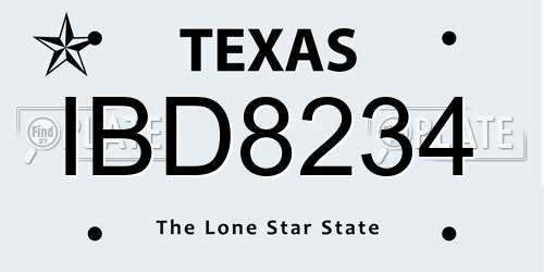 IBD8234 Texas License Plate