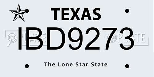 IBD9273 Texas License Plate