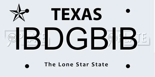 IBDGBIB Texas License Plate
