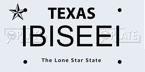 IBISEEI Texas License Plate