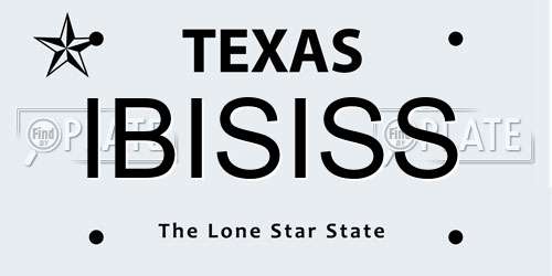 IBISISS Texas License Plate