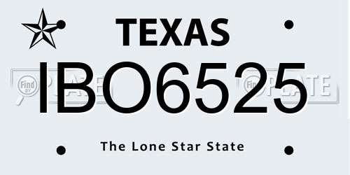 IBO6525 Texas License Plate