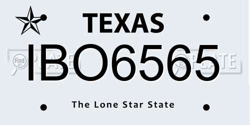 IBO6565 Texas License Plate