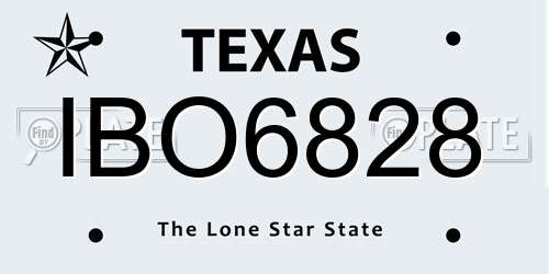 IBO6828 Texas License Plate