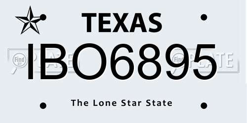 IBO6895 Texas License Plate