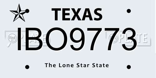 IBO9773 Texas License Plate