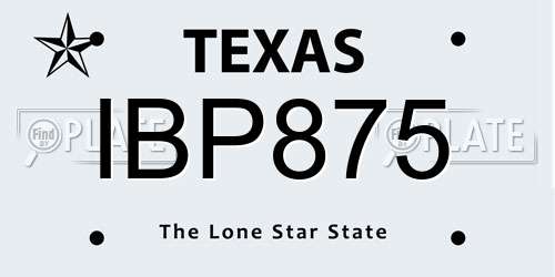 IBP875 Texas License Plate