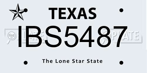 IBS5487 Texas License Plate