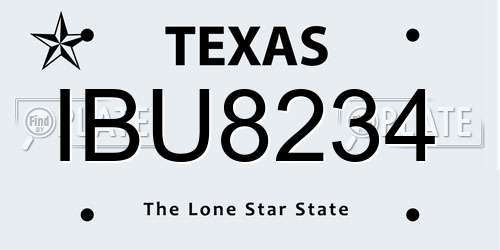 IBU8234 Texas License Plate