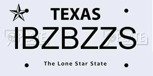 IBZBZZS Texas License Plate