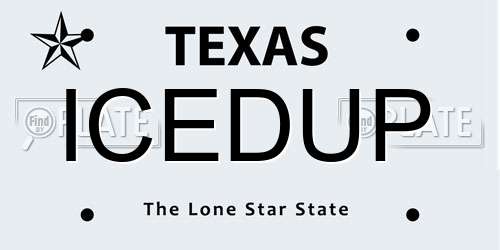 ICEDUP Texas License Plate