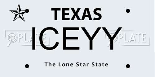 ICEYY Texas License Plate