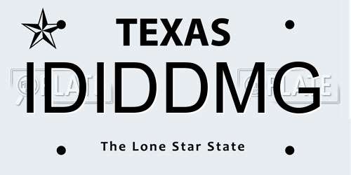 IDIDDMG Texas License Plate