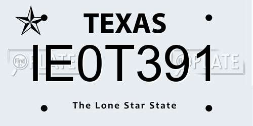 IE0T391 Texas License Plate