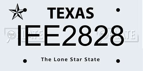 IEE2828 Texas License Plate