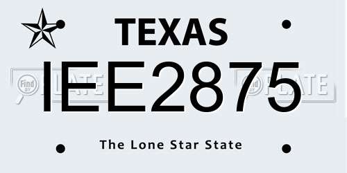 IEE2875 Texas License Plate