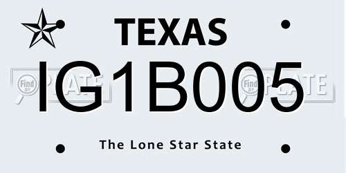 IG1B005 Texas License Plate