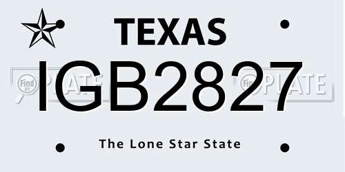 IGB2827 Texas License Plate