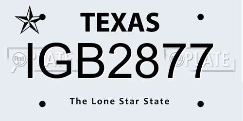 IGB2877 Texas License Plate