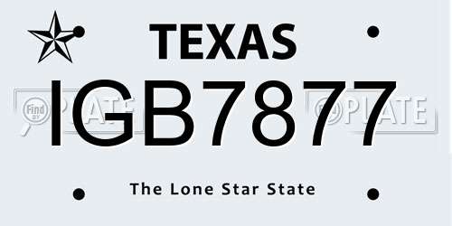 IGB7877 Texas License Plate