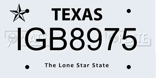 IGB8975 Texas License Plate