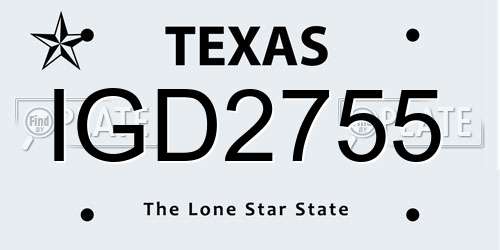 IGD2755 Texas License Plate