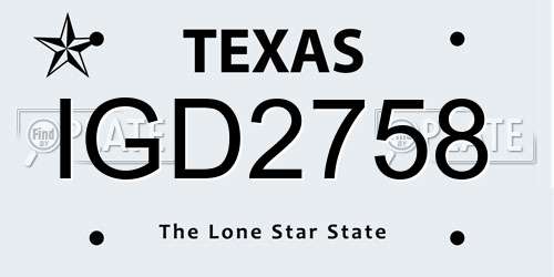 IGD2758 Texas License Plate