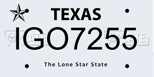 IGO7255 Texas License Plate