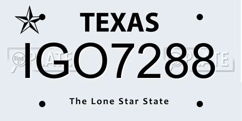 IGO7288 Texas License Plate